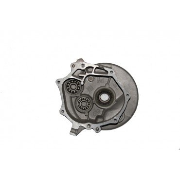 Arora Dazzle 125  Di̇fransi̇yel Di̇şli̇ Kapaği